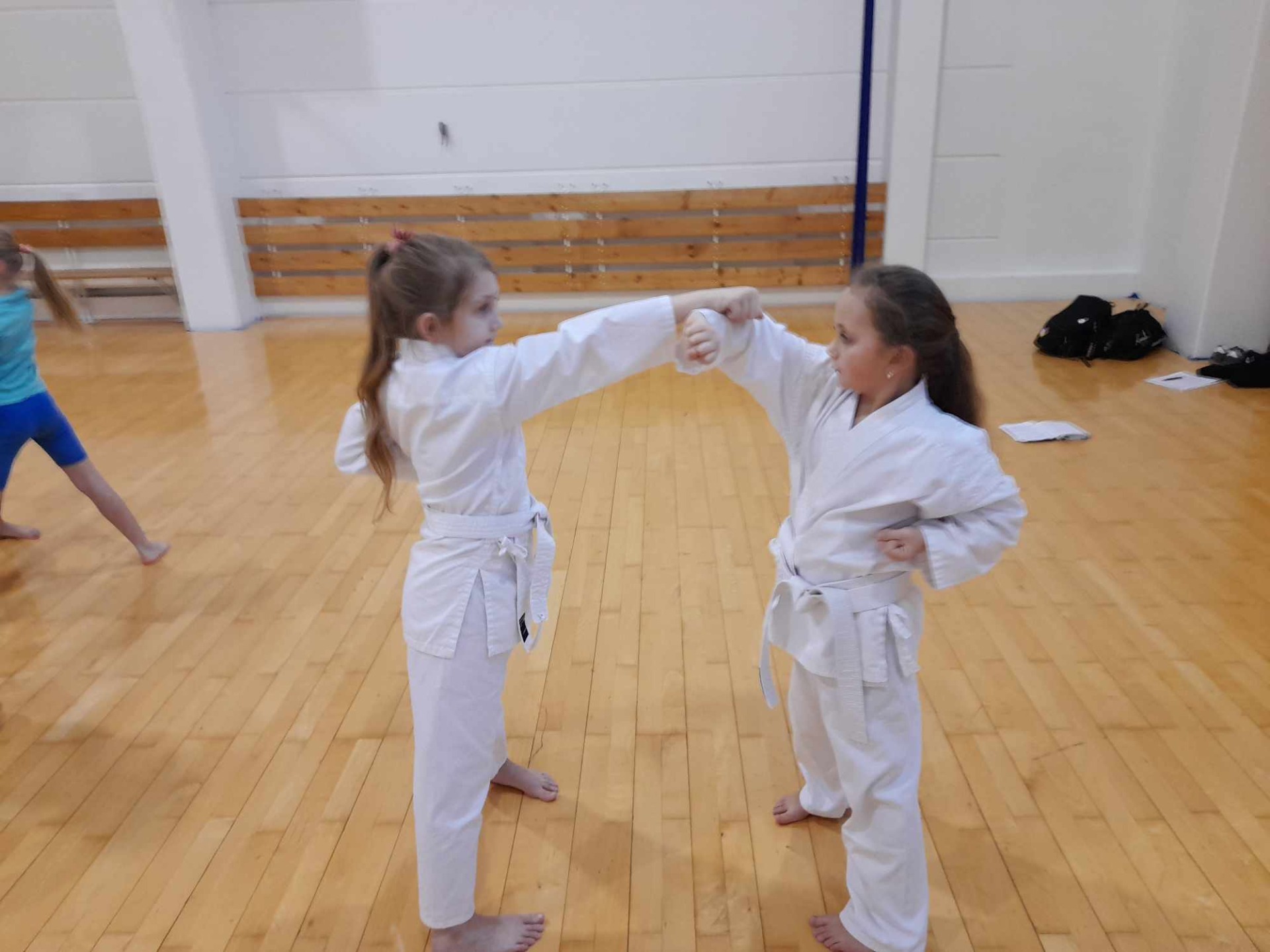 Športové  karate - Obrázok 3