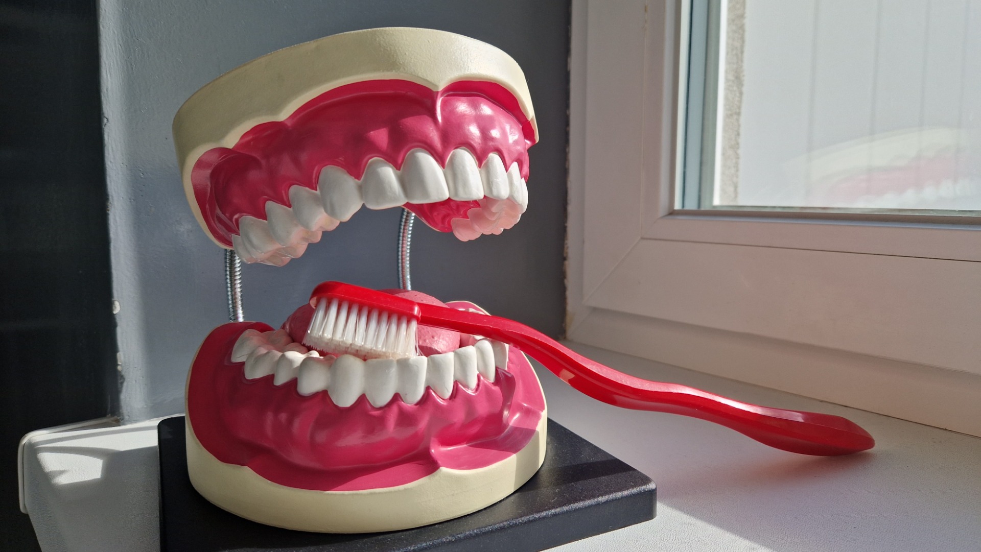 Fluoryzacja zębów – program profilaktyczny - Obrazek 3