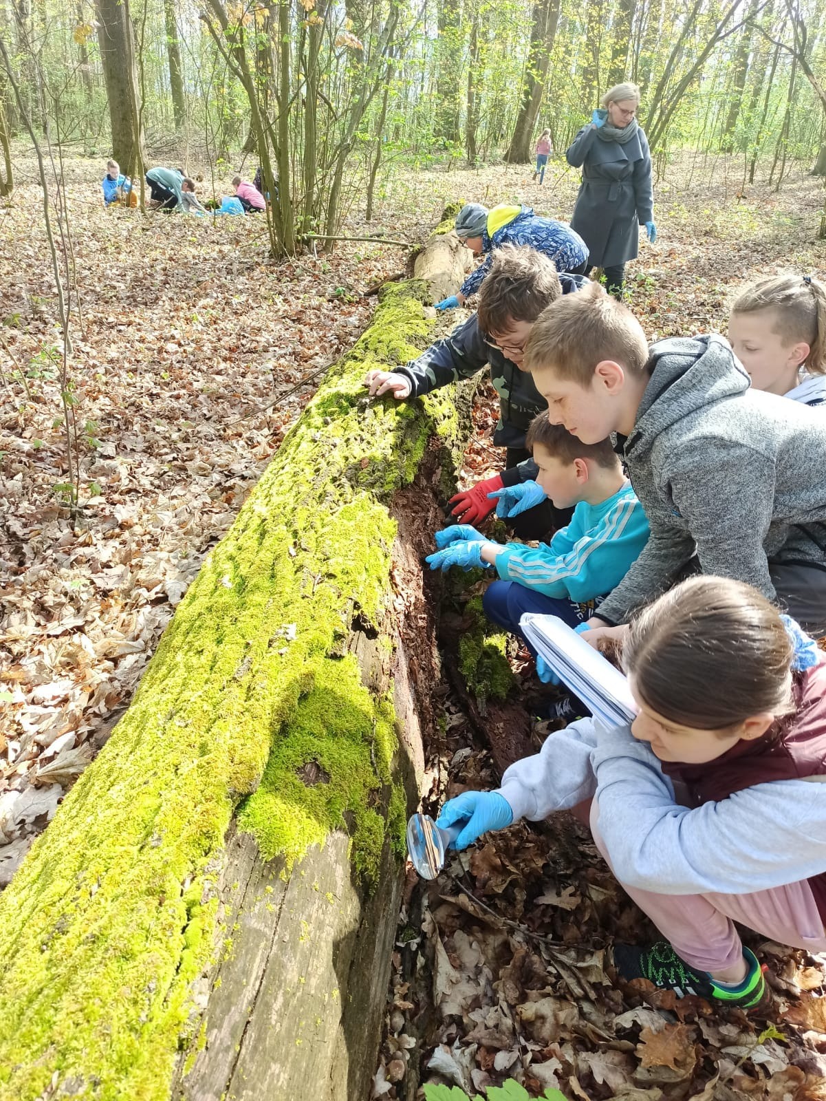 Lekcja przyrody  - uczniowie w terenie podczas zajęć 