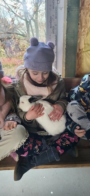 dziecko z królikiem na rękach