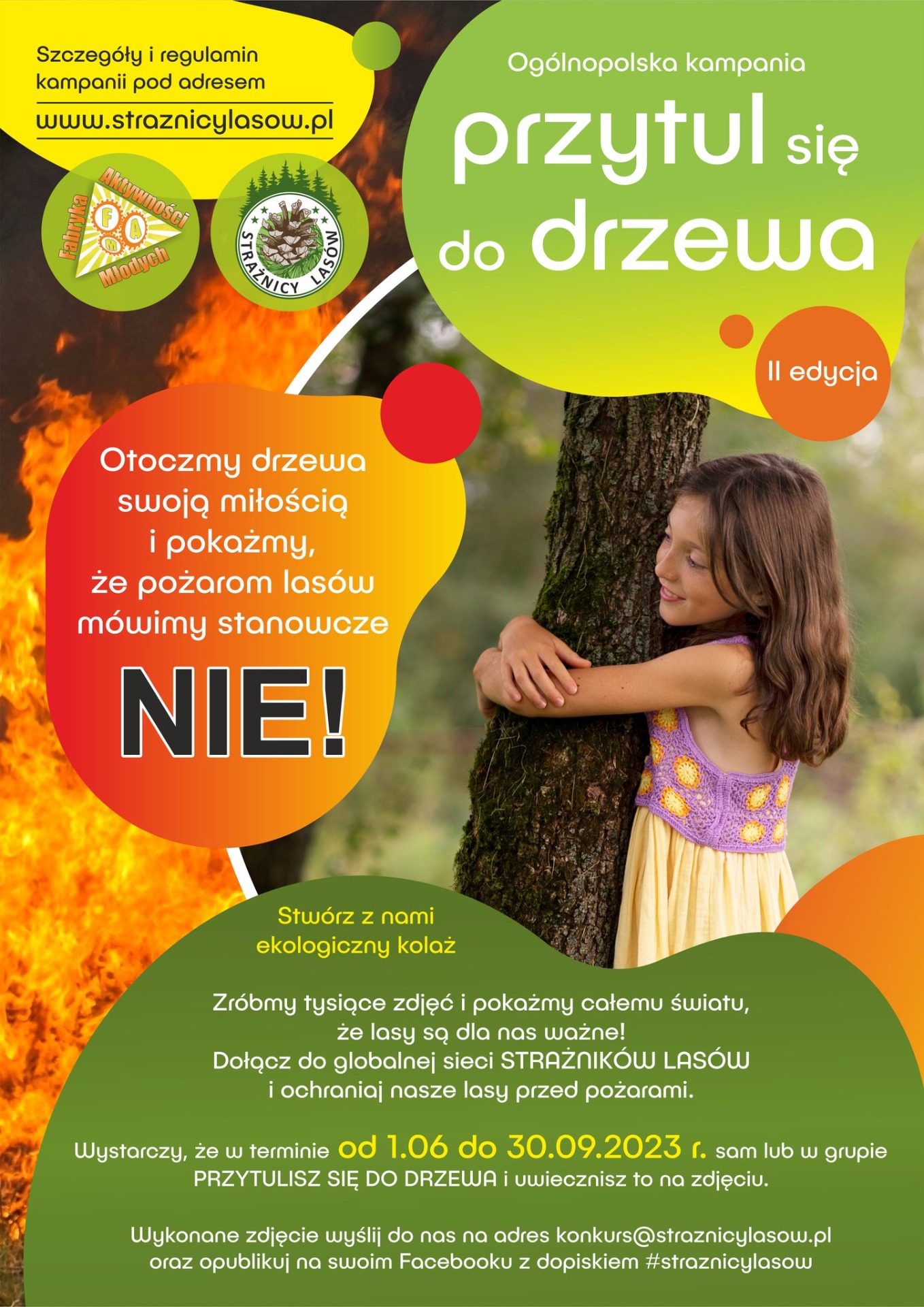 Certyfikat ogólnopolskiej kampanii "Przytul się do drzewa 2023" dla SP12 - Obrazek 2