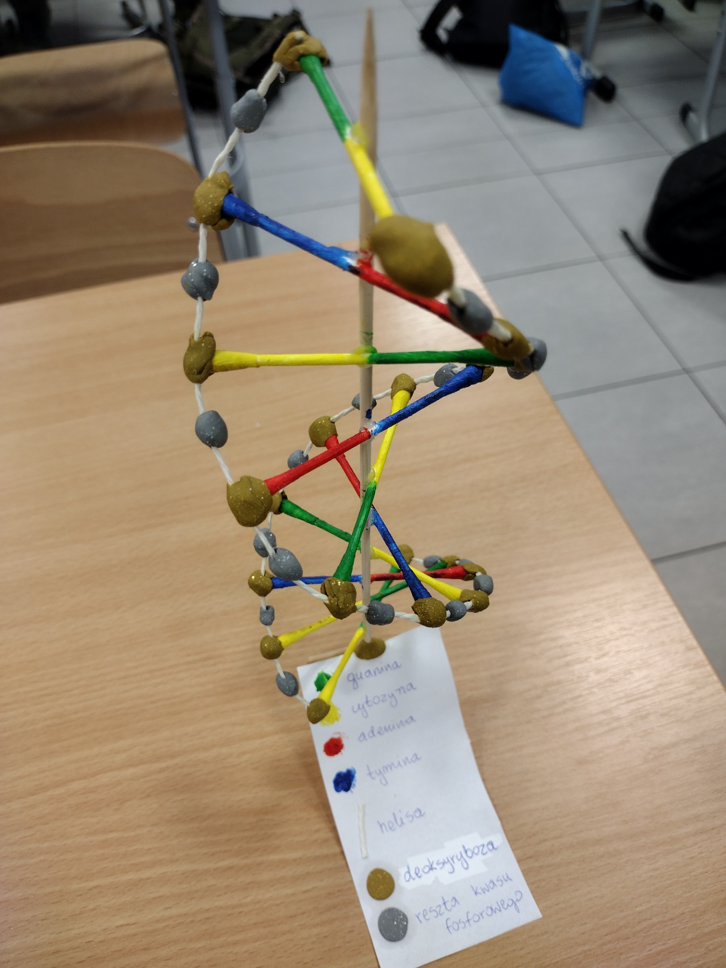 DNA - modelowa biologia - Obrazek 3