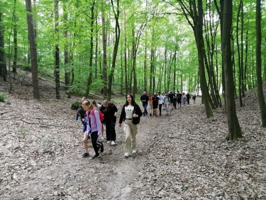 Grupa dzieci na rajdzie leśnym