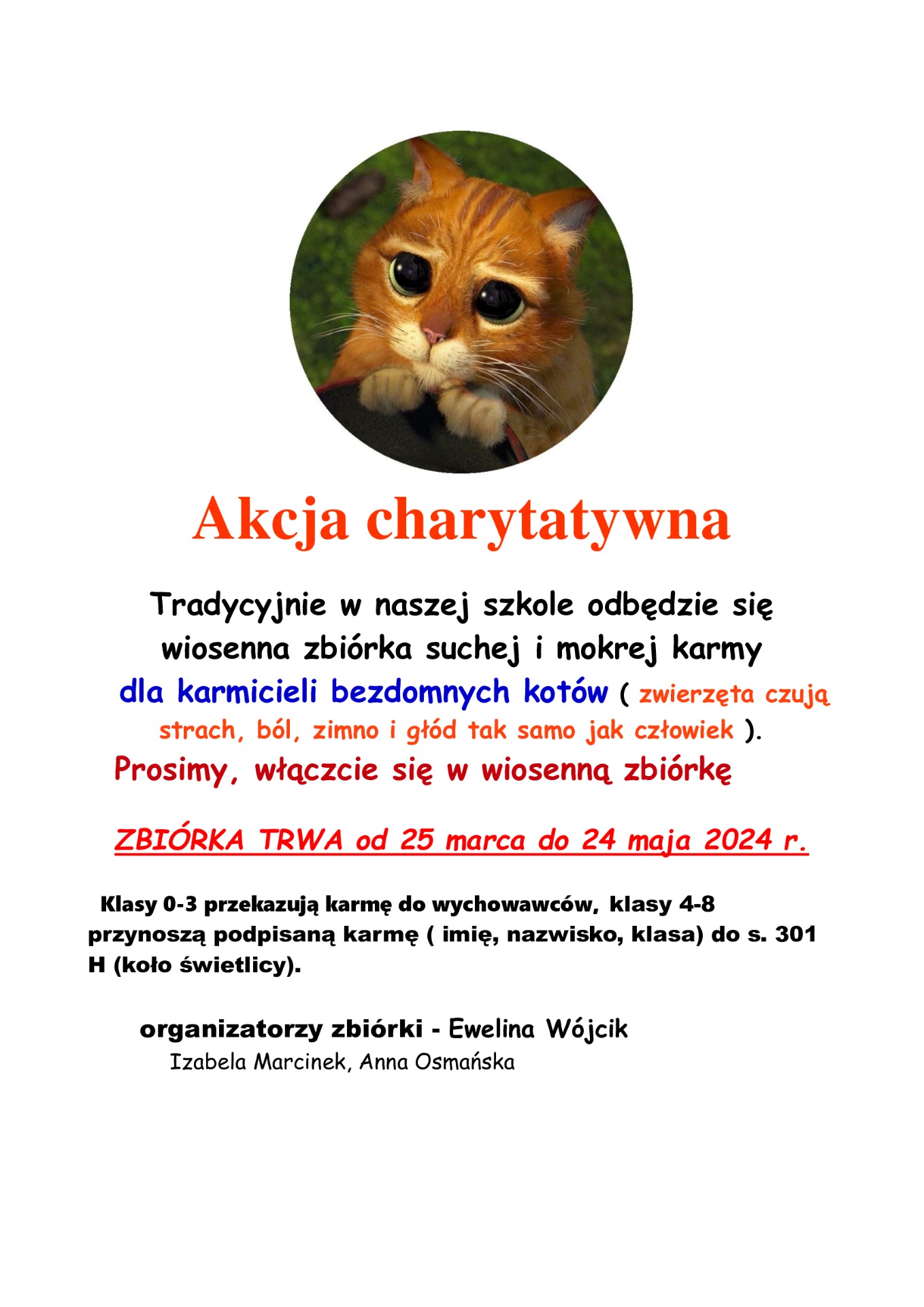 Akcja charytatywna - zbiórka karmy dla kotów - Obrazek 1