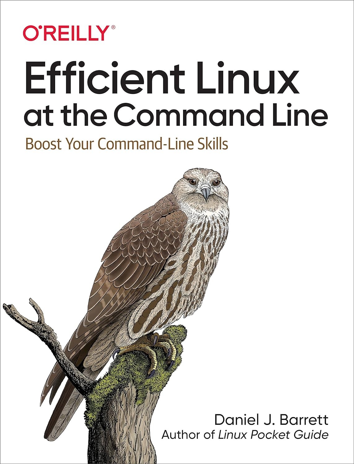okładka - BARRETT, Daniel J.: Efficient Linux at the Command Line. Sebastopol: O'Reilly Media, 2022. ISBN: 9781098113407.