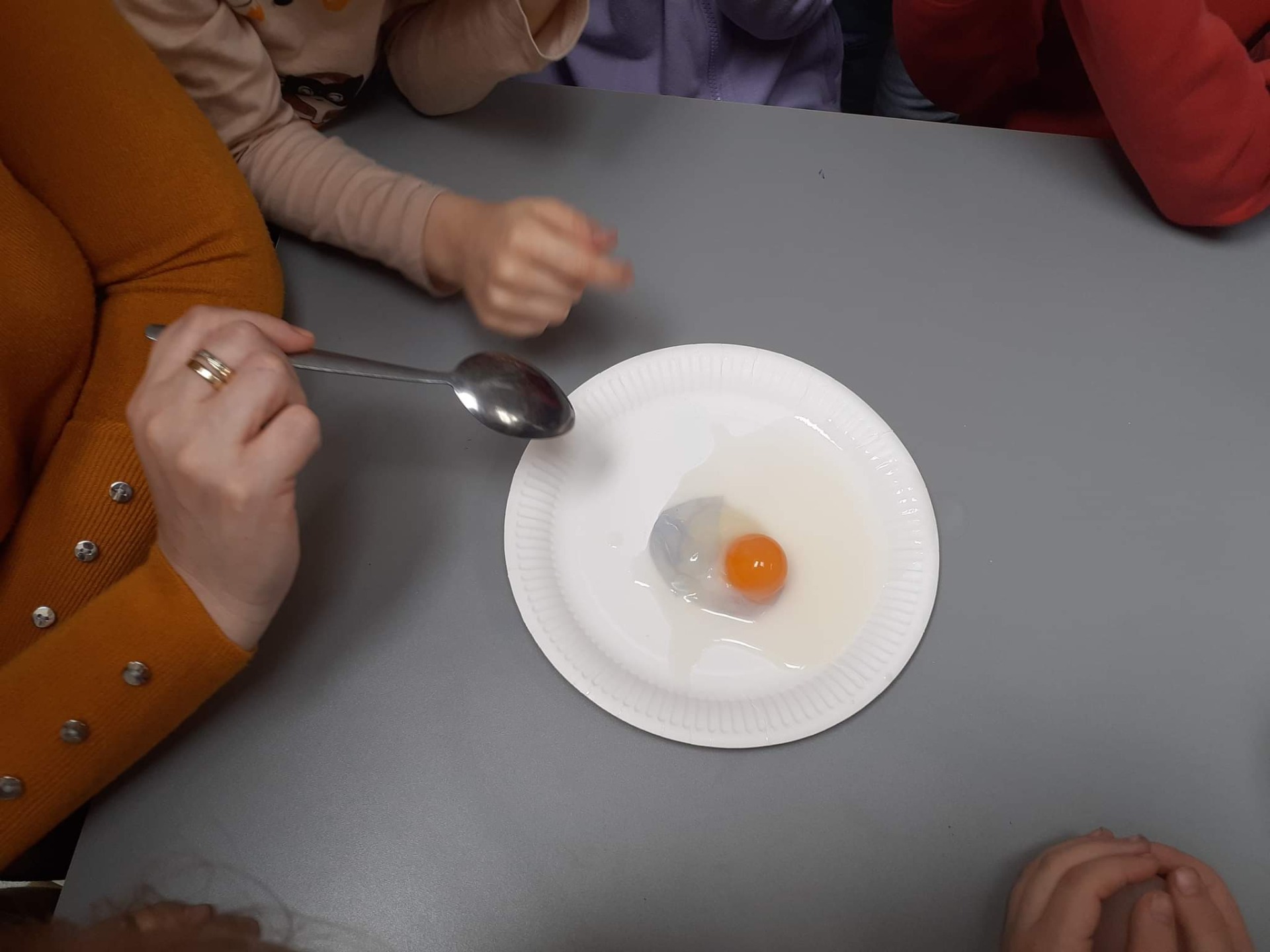 Tropiciele sprawdzają, co sie stało z jajkiem w occie 😄- " Eksperyment gumowe jajko" 🥚 - Obrazek 6