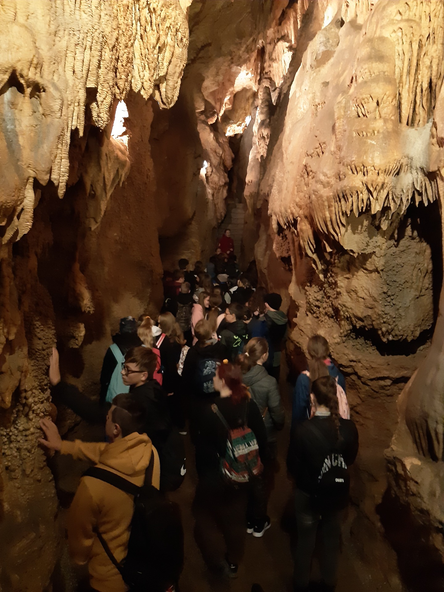 Exkurzia - jaskyňa Driny a  hrad Červený Kameň - Obrázok 4
