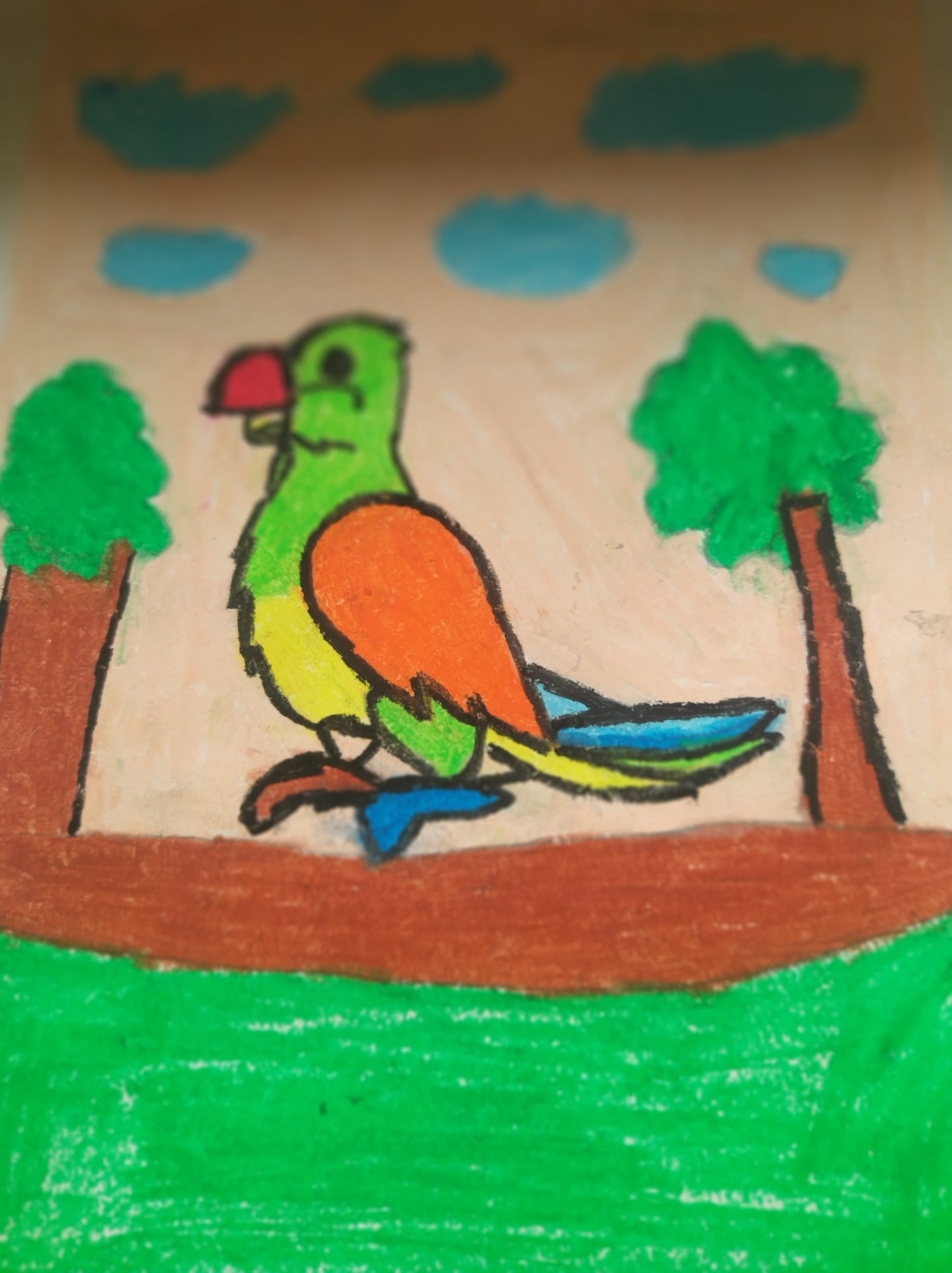 Praca malowana pastelami olejnymi - papuga