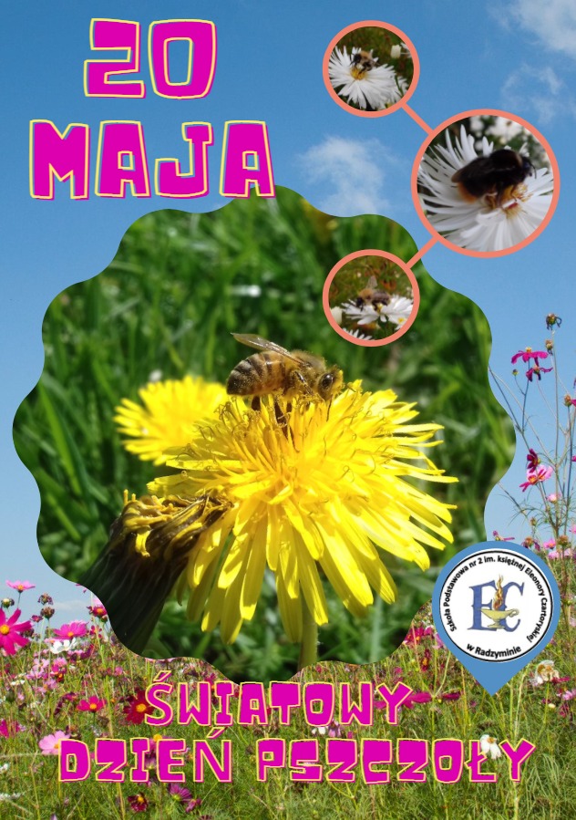 Podsumowanie powiatowego projektu   „Kwiatowa łąka dla owadów” - Obrazek 2